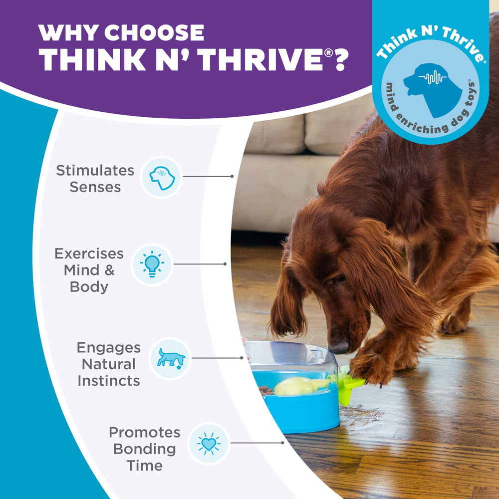 Outward Hound Paw N' Play nettoyage-simple: facile à nettoyer et sans danger