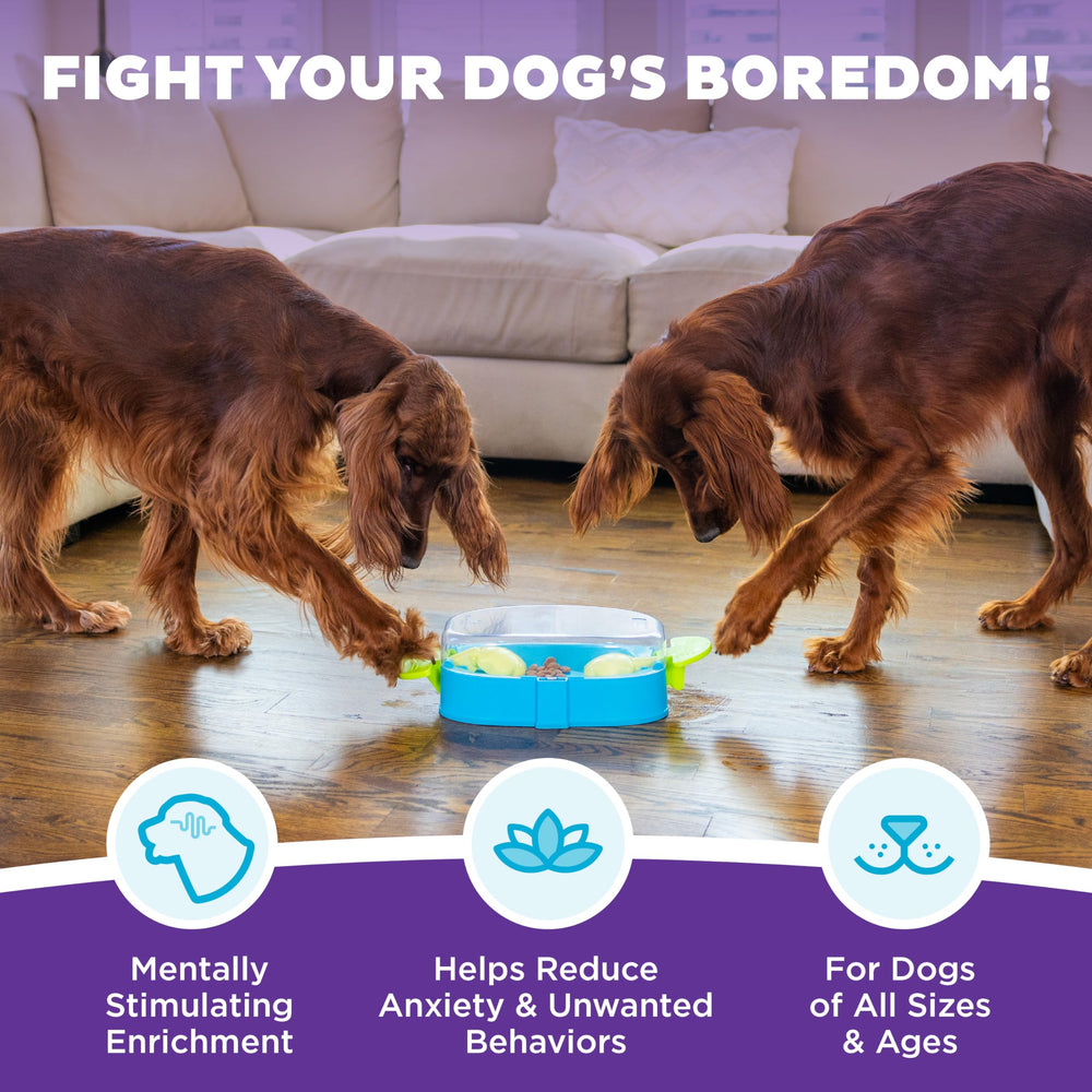 Outward Hound Paw N' Play poignees-pattes-puzzle-chien: stimule manipulation et résolution