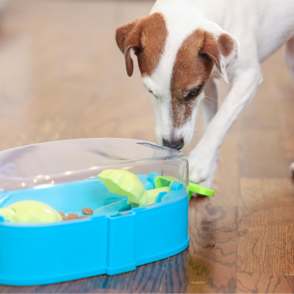 Outward Hound Paw N' Play securite-usage-chien: supervision conseillée pour une expérience sûre