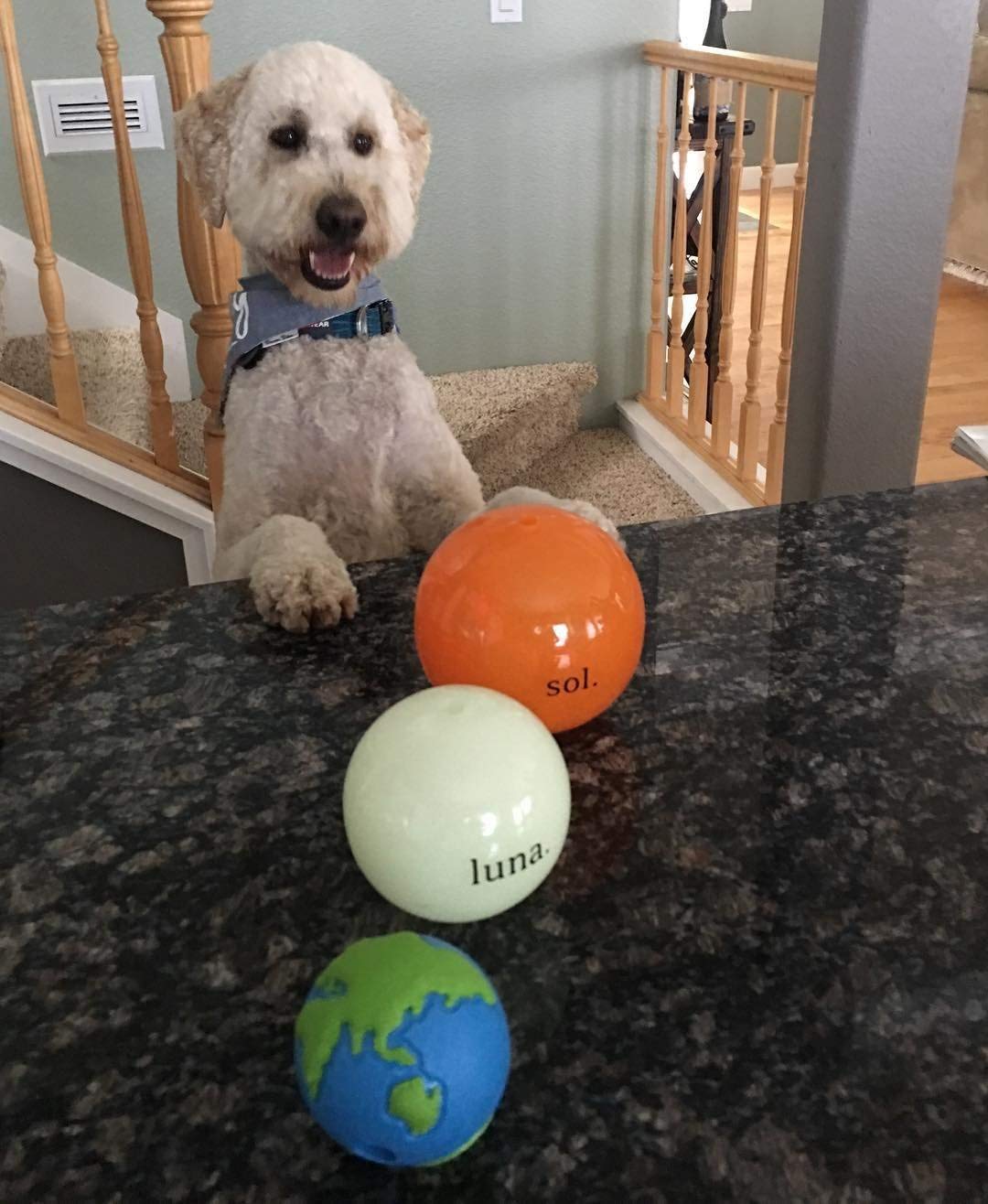 Outward Hound Planet Ball surface texturée, rebond varié pour plus de divertissement.