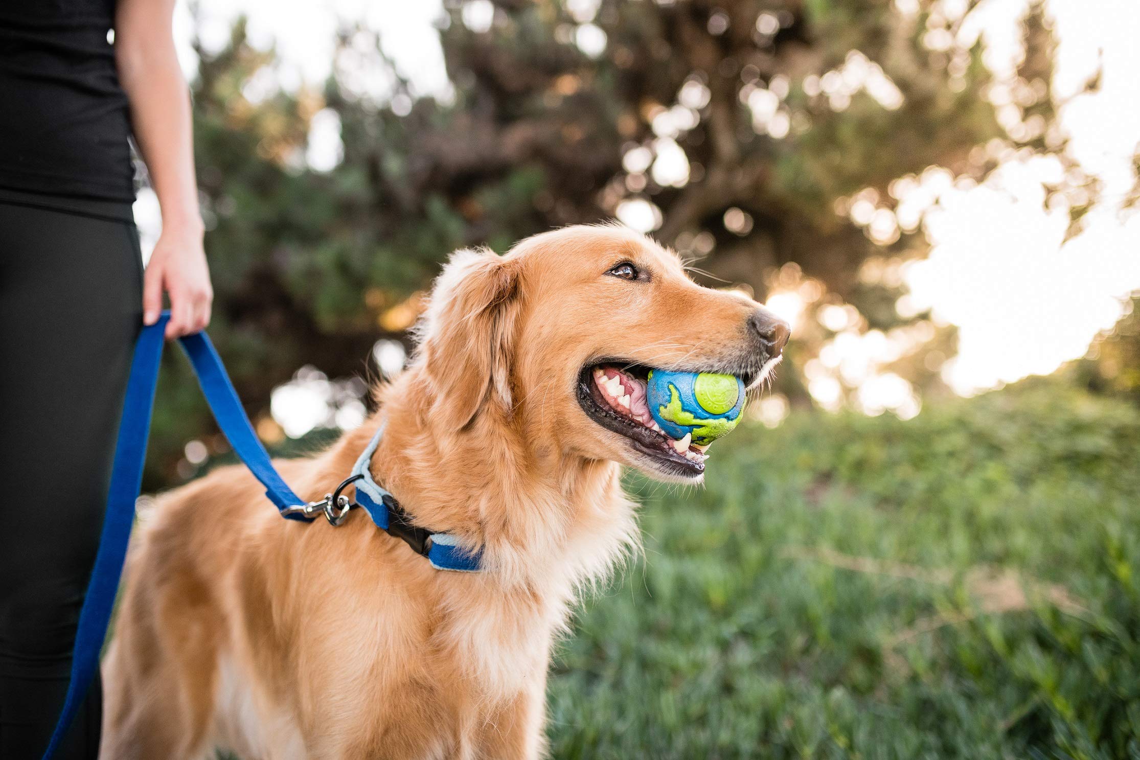 Outward Hound Planet Ball : sécurité et entretien faciles pour tous les jours.