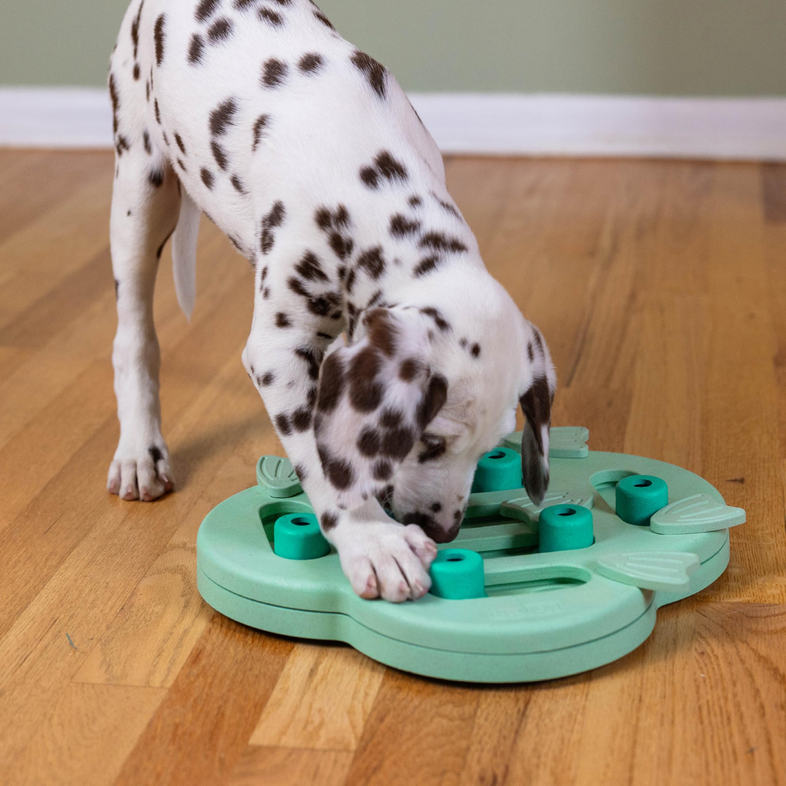 Outward Hound Puppy Hide N' Slide, jeu anti-ennui favorisant l’exercice mental.