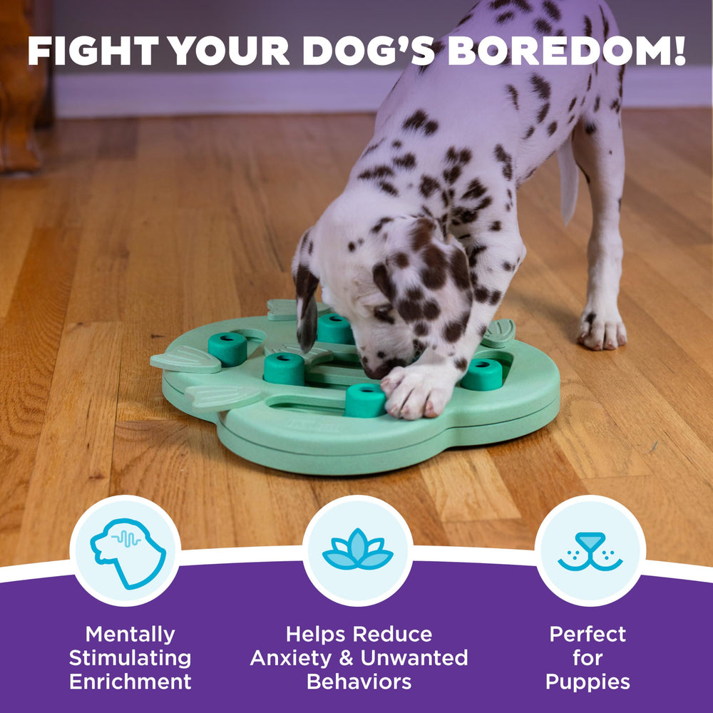 Outward Hound Puppy Hide N' Slide, blocs cachettes facilitant la découverte des friandises.