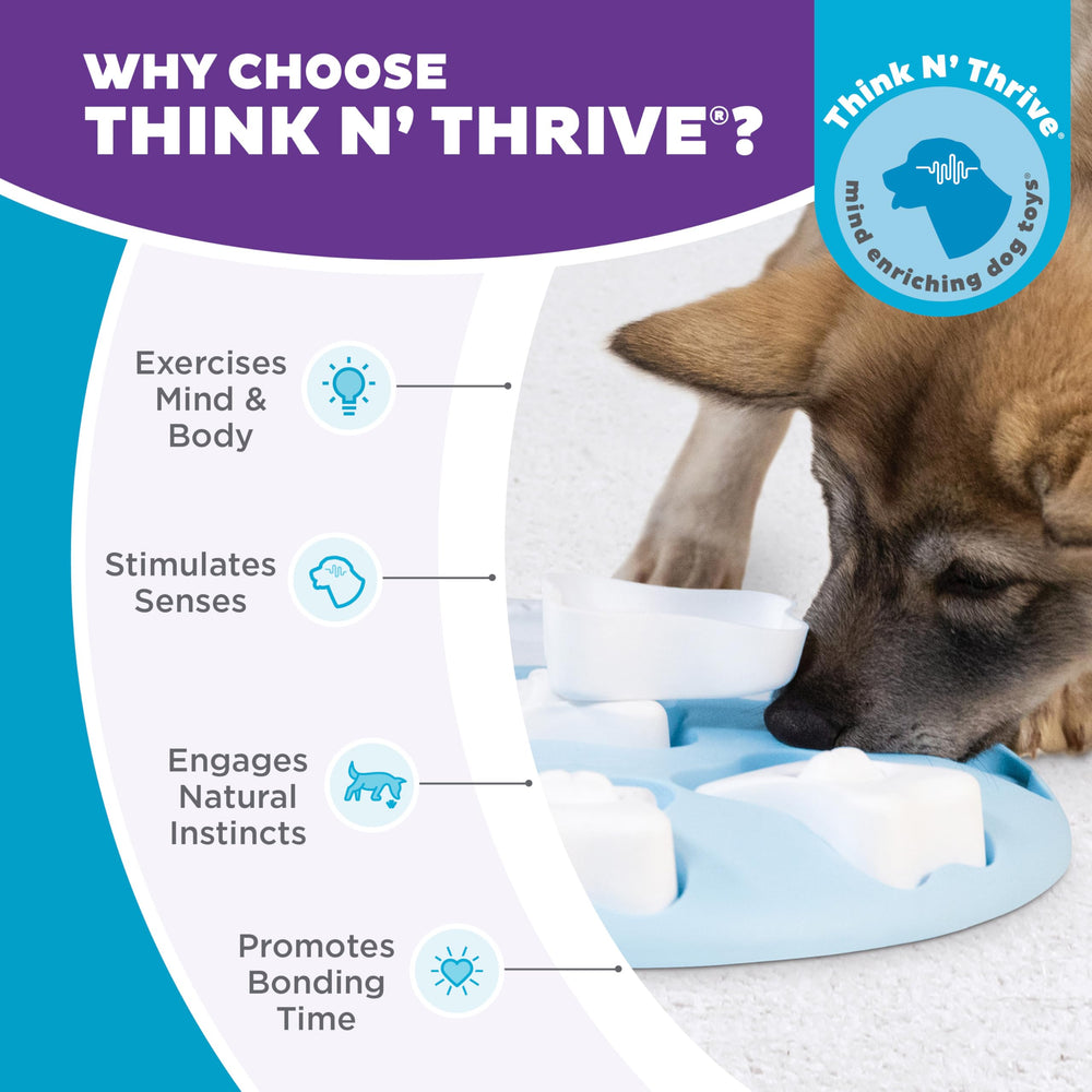 Utilisation en repas avec Puppy Smart pour ralentir l’alimentation