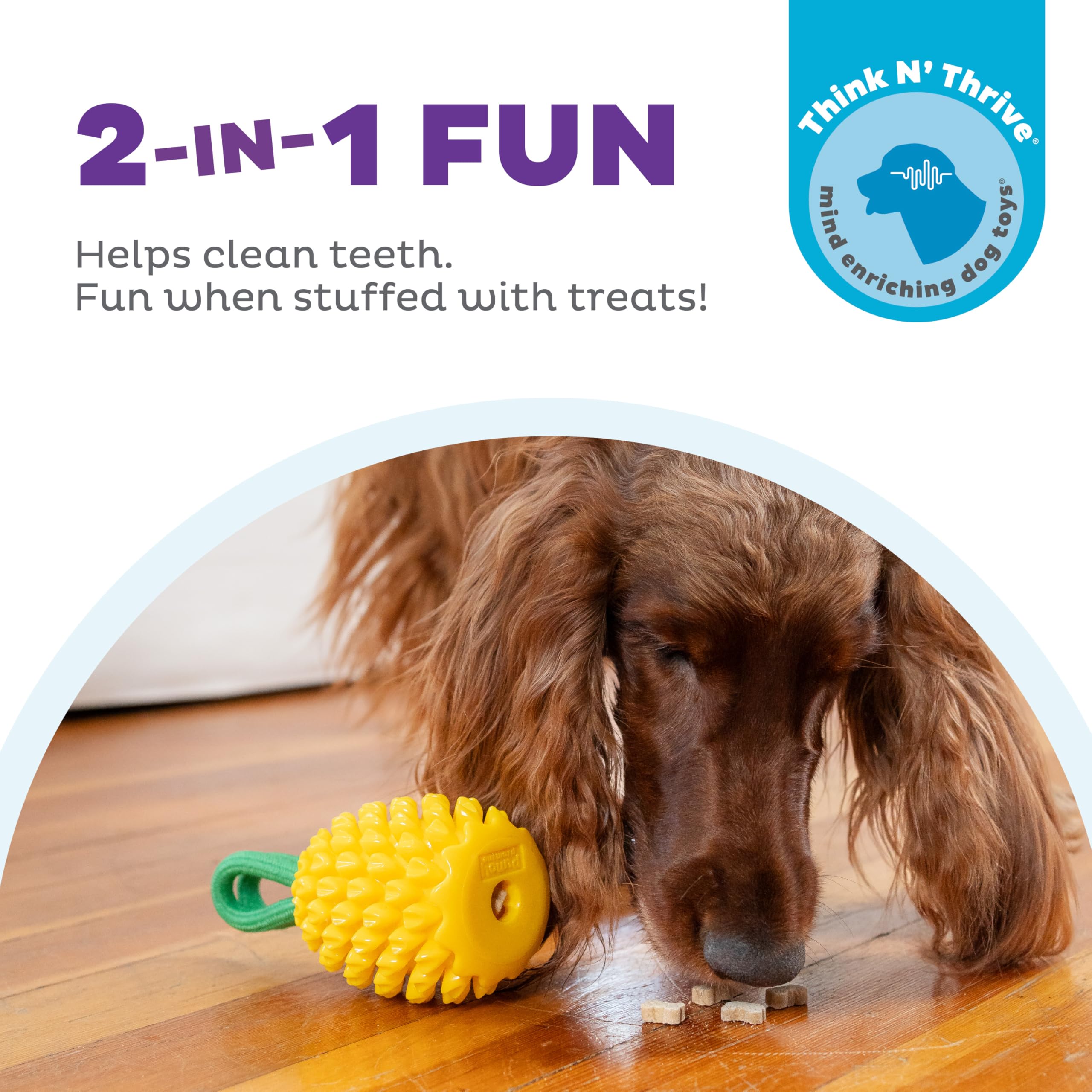 Outward Hound Dental Pineapple, rainures dentaires sur l’ananas pour soutenir la mastication.