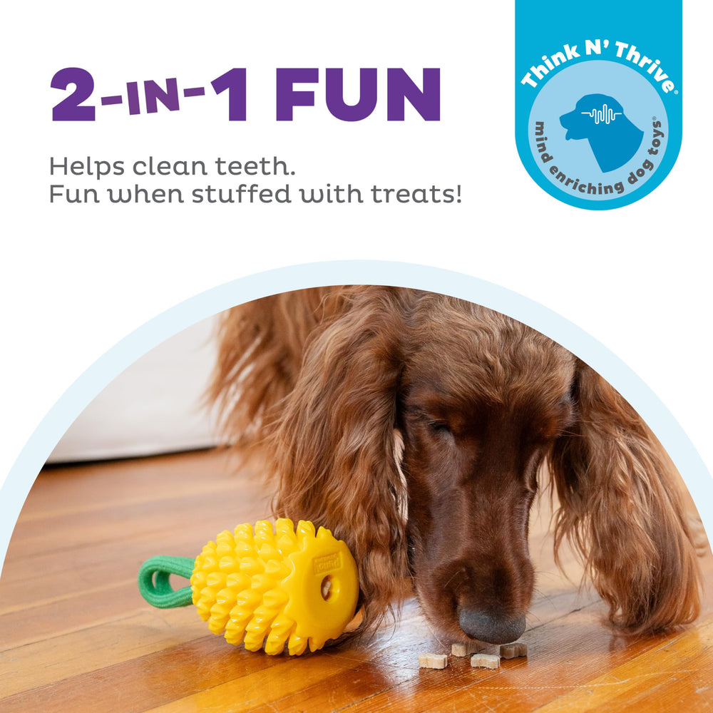 Outward Hound Dental Pineapple, rainures dentaires sur l’ananas pour soutenir la mastication.