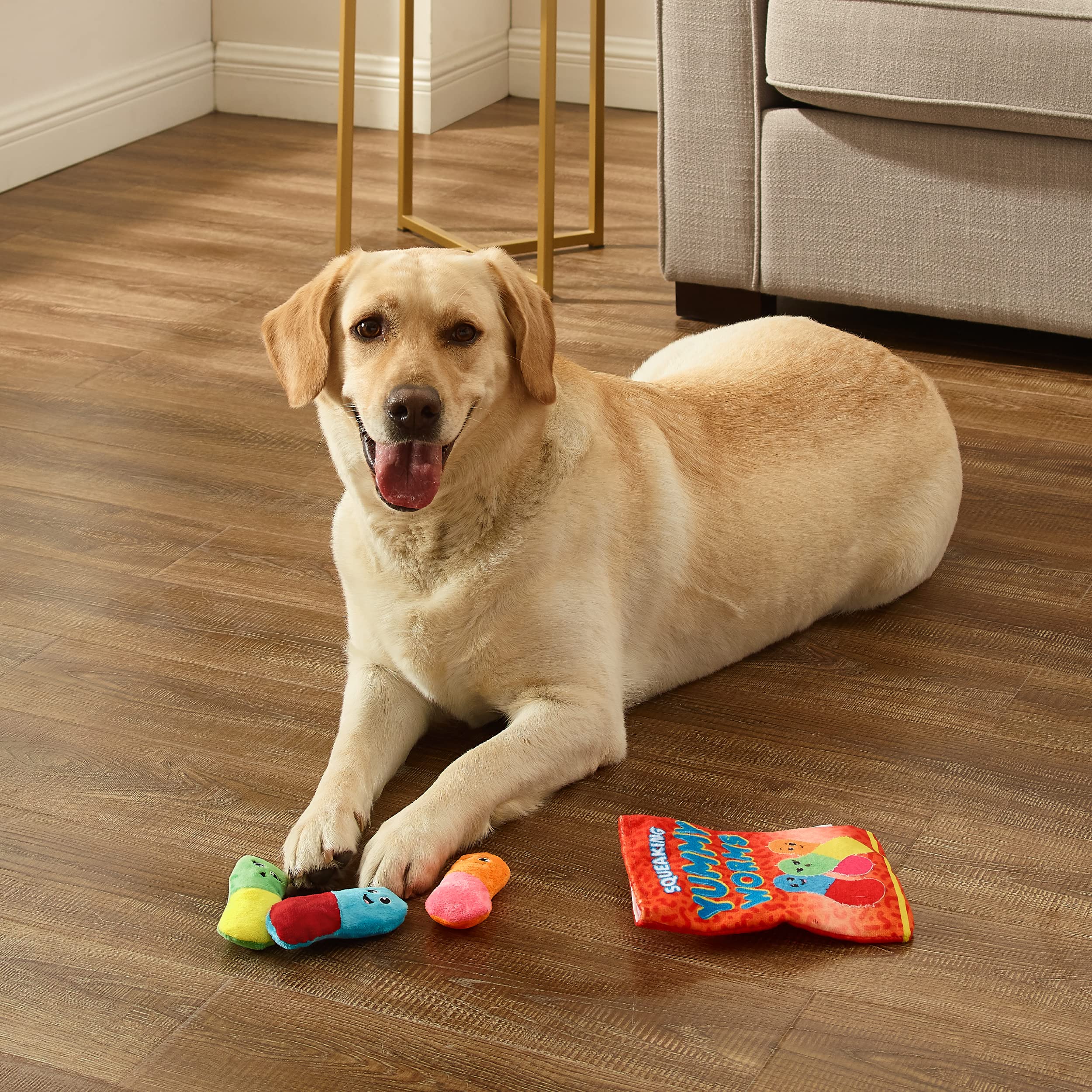 Remplissage du sac-snack Outward Hound avec friandises pour prolonger le jeu.