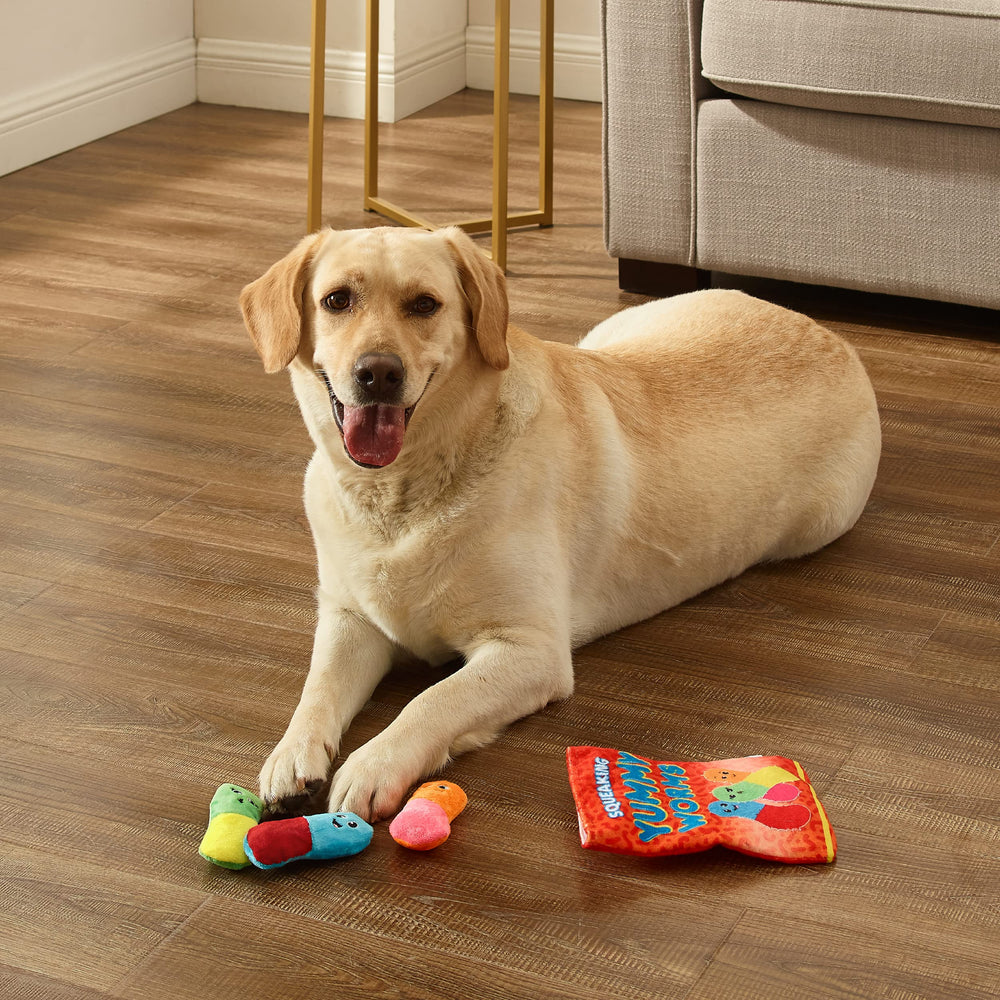Remplissage du sac-snack Outward Hound avec friandises pour prolonger le jeu.