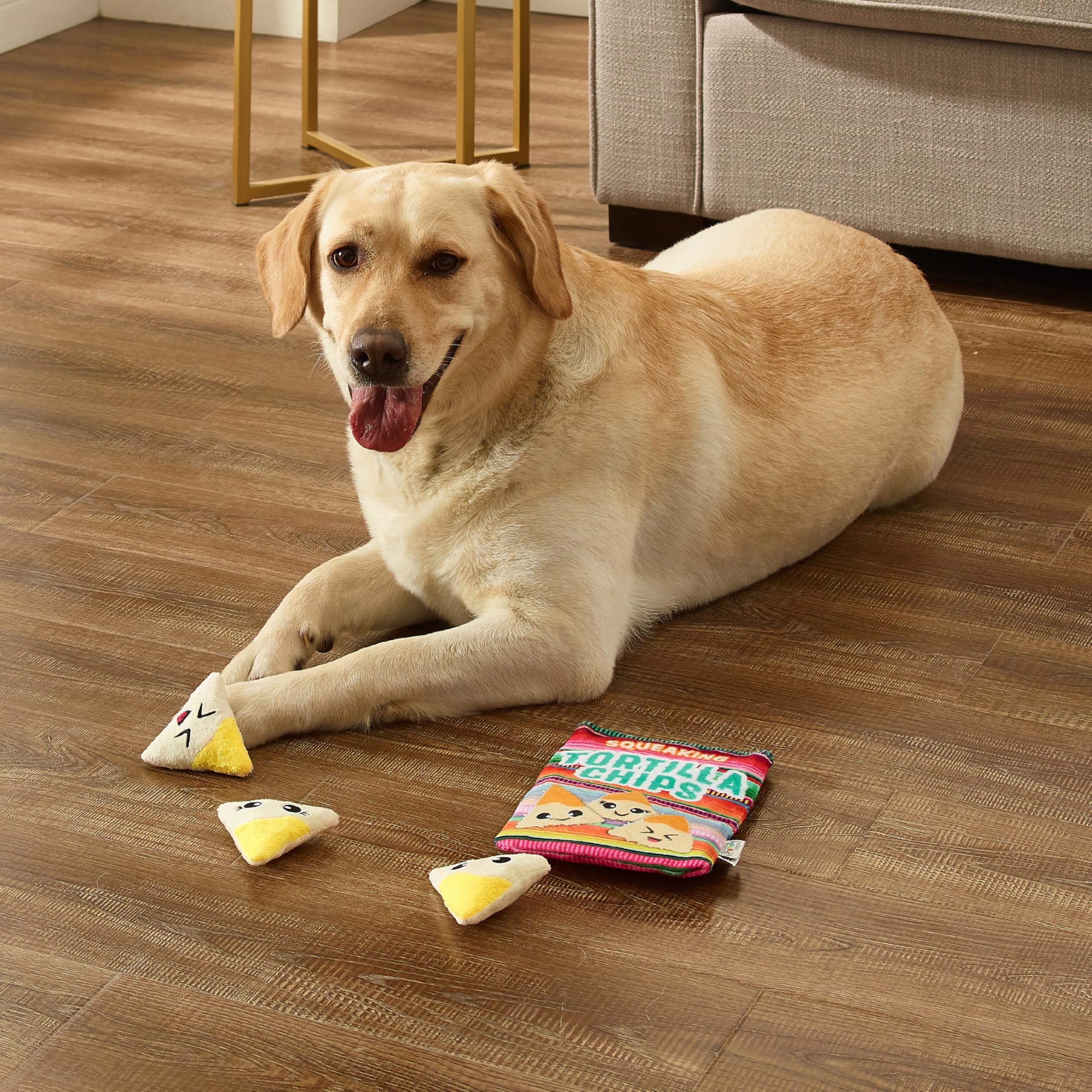 Outward Hound securite-utilisation-correcte surveiller et remplacer si endommagé.