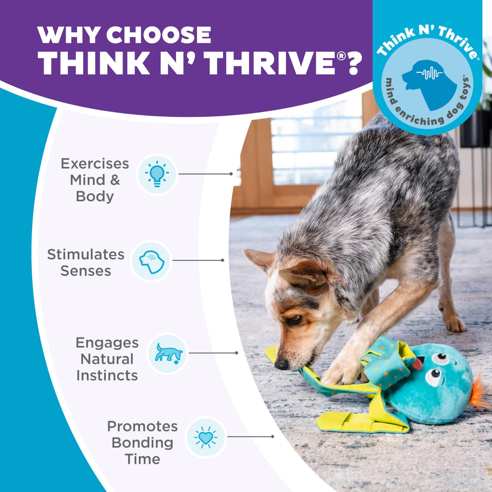 Outward Hound Silly Legz enrichissement mental pour chien