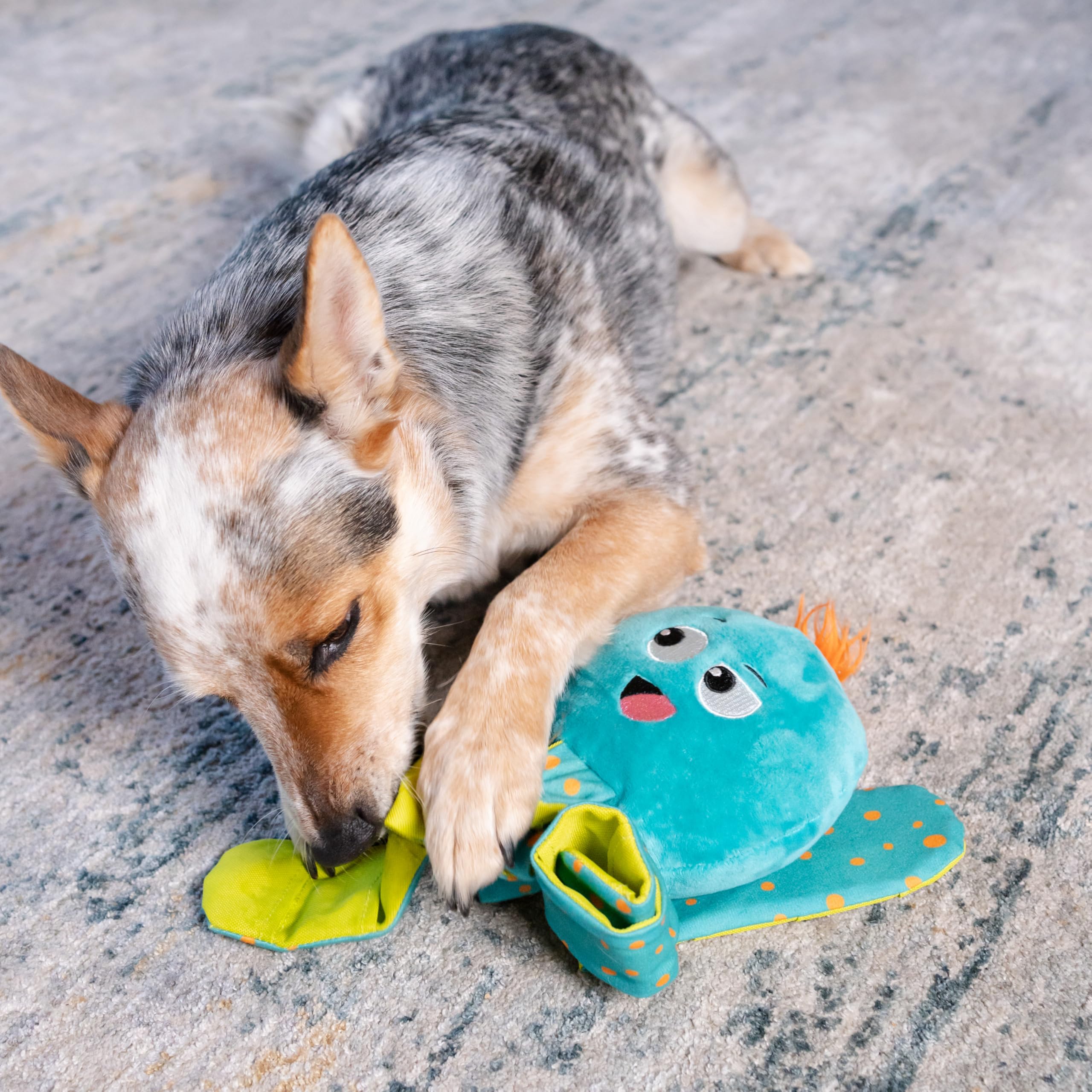 Outward Hound Silly Legz sifflet integre pour amusement