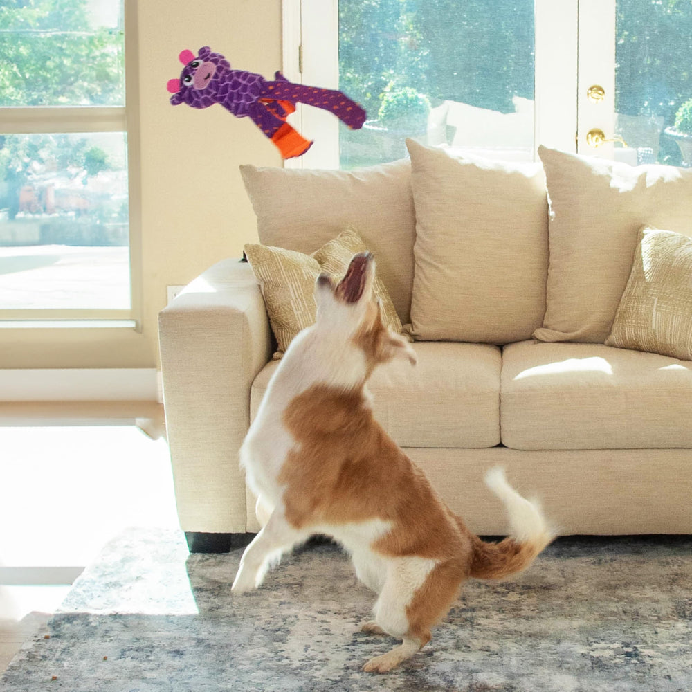 Outward Hound Silly Legz, sifflet-peluche, stimule l’ouïe et prolonge le jeu après les friandises.
