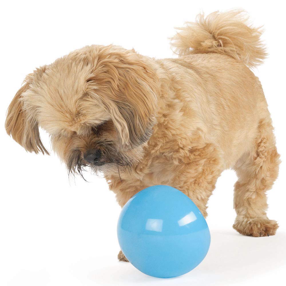 Outward Hound Snoop: balle compatible Orbee Nook pour un défi supplémentaire