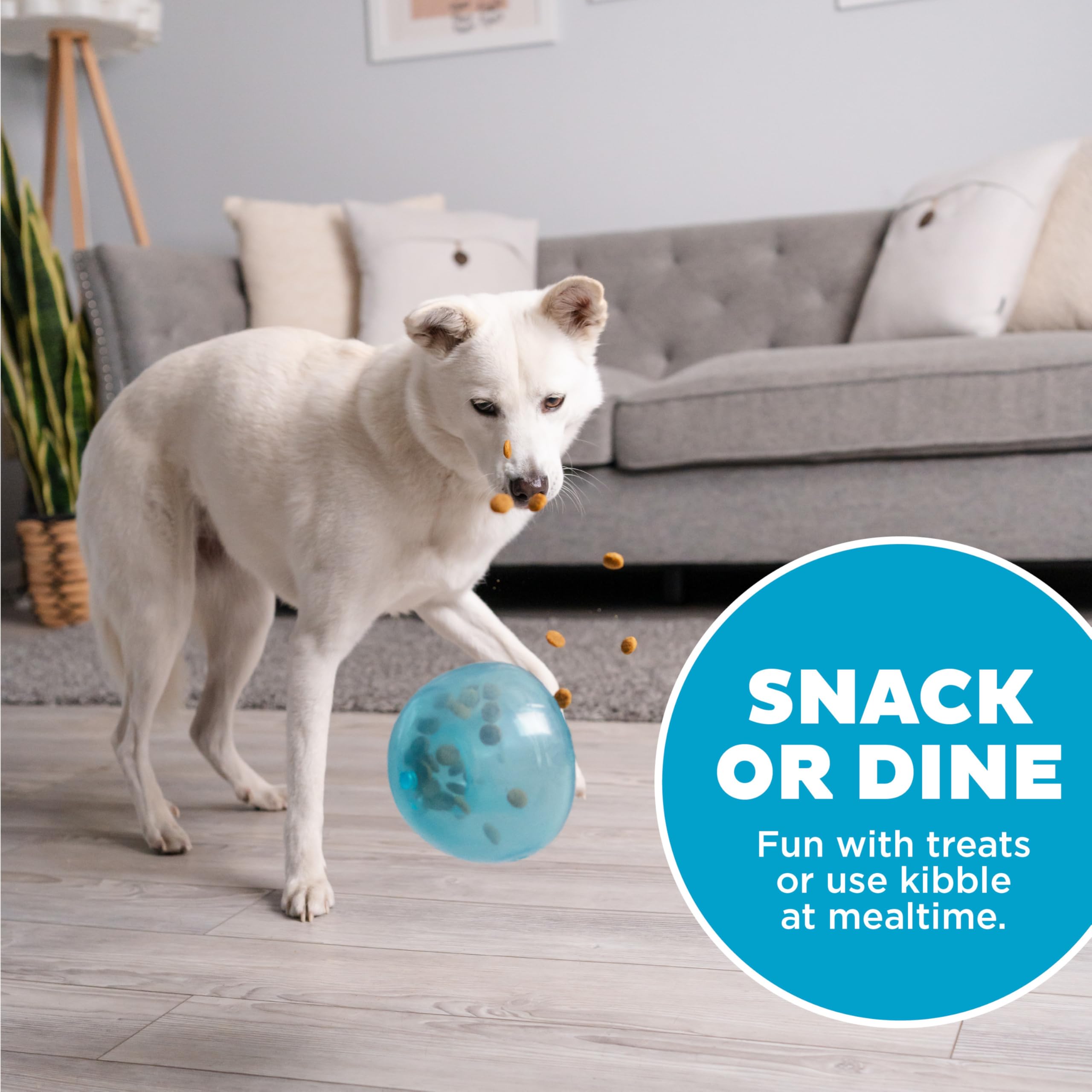 Outward Hound Snoop: balle adaptée pour chiens moyens à grands