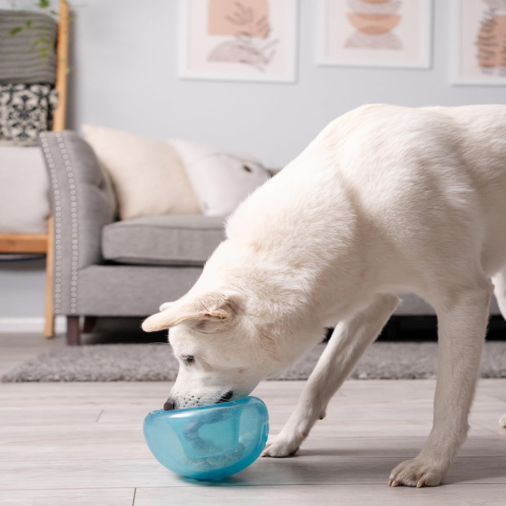 Outward Hound Snoop: jouet bleu robuste favorisant l’exercice mental