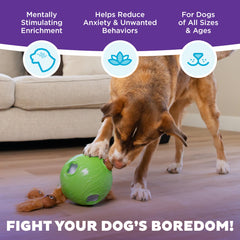 Outward Hound Snuffle N Treat Ball niveau 2, accès progressif pour chiens intelligents.