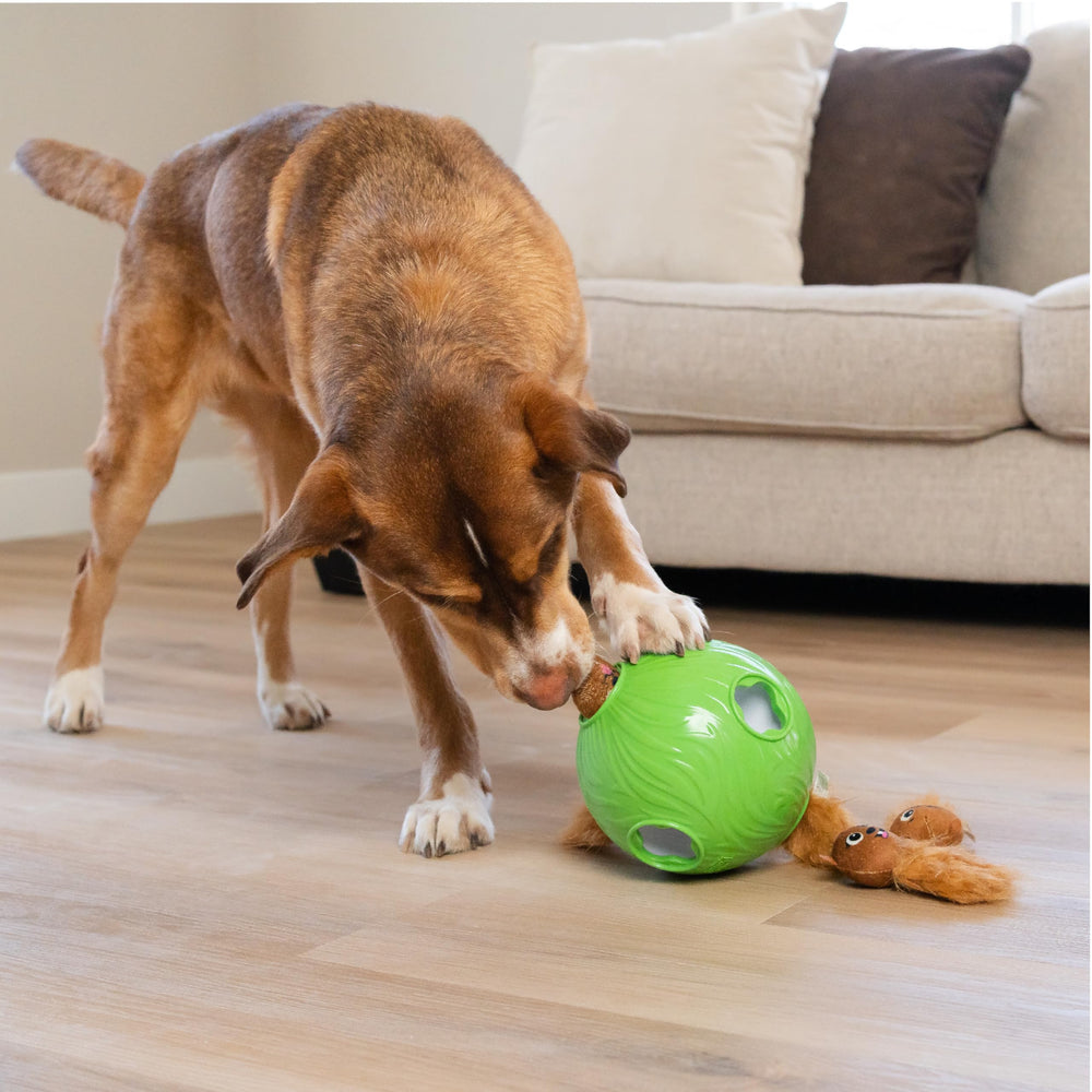 Outward Hound Snuffle N Treat Ball, conçu pour tous les chiens, adaptable au niveau souhaité.
