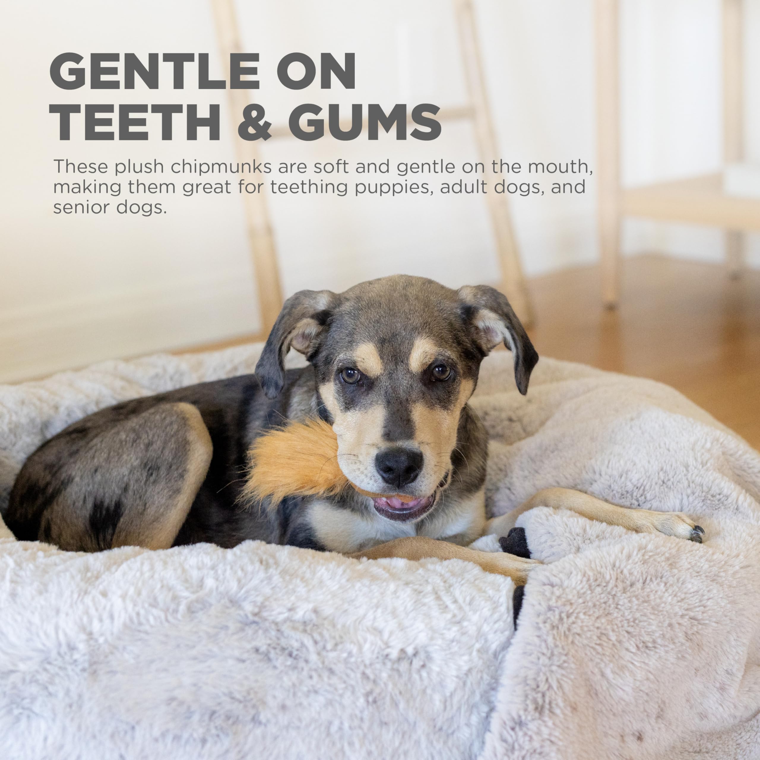 Chipmunk Snuffle N' Treat inséré dans Hide-A-Toys Outward Hound