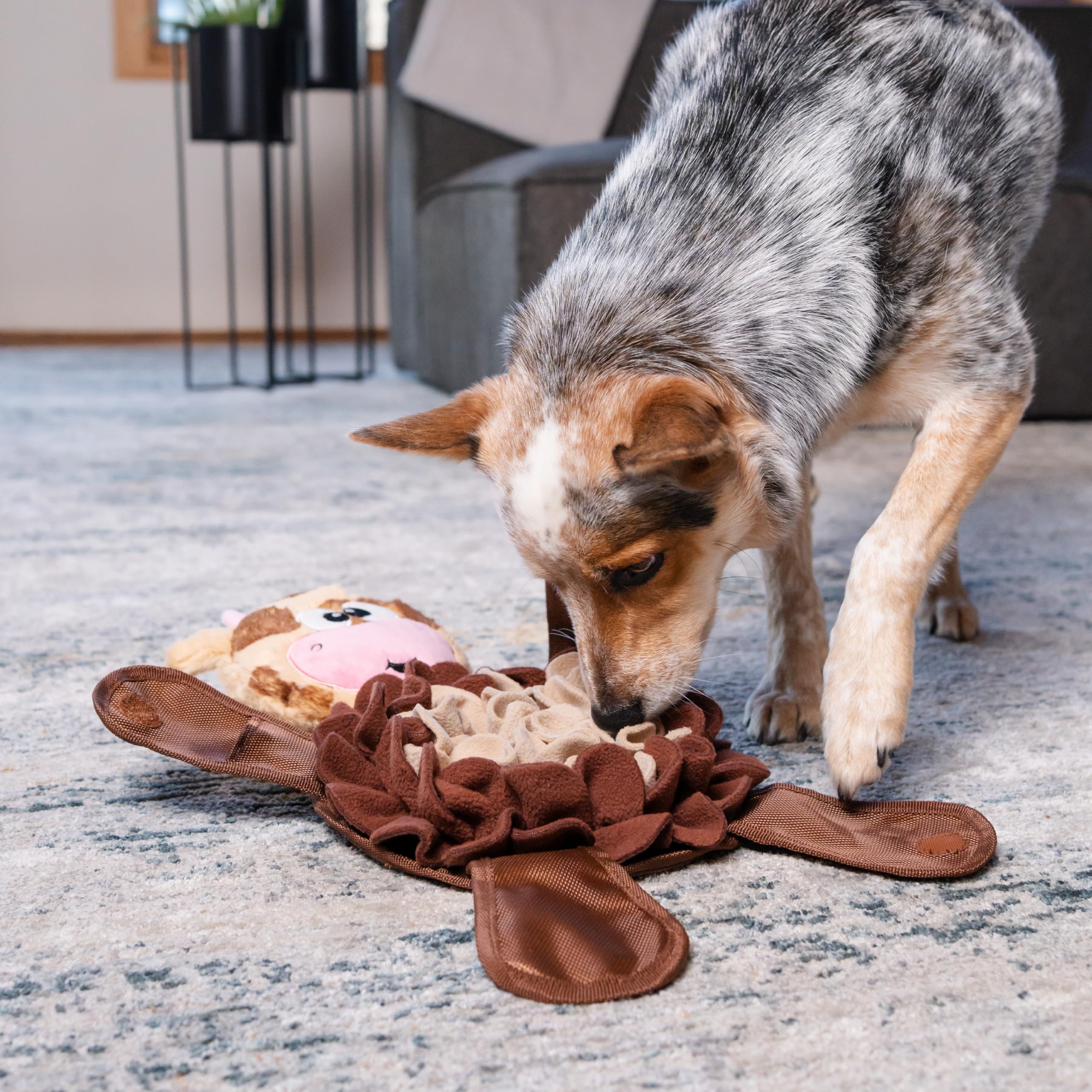 Outward Hound Snuffle Palz – Base anti-glisse assurant la stabilité pendant le jeu.
