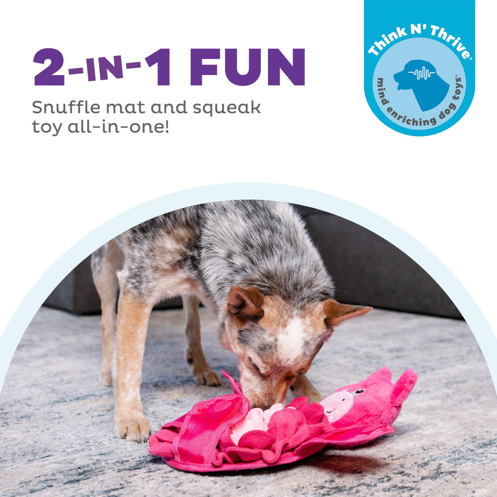 Outward Hound Snuffle Palz puzzle interactif pour chien favorisant la résolution d’énigmes.