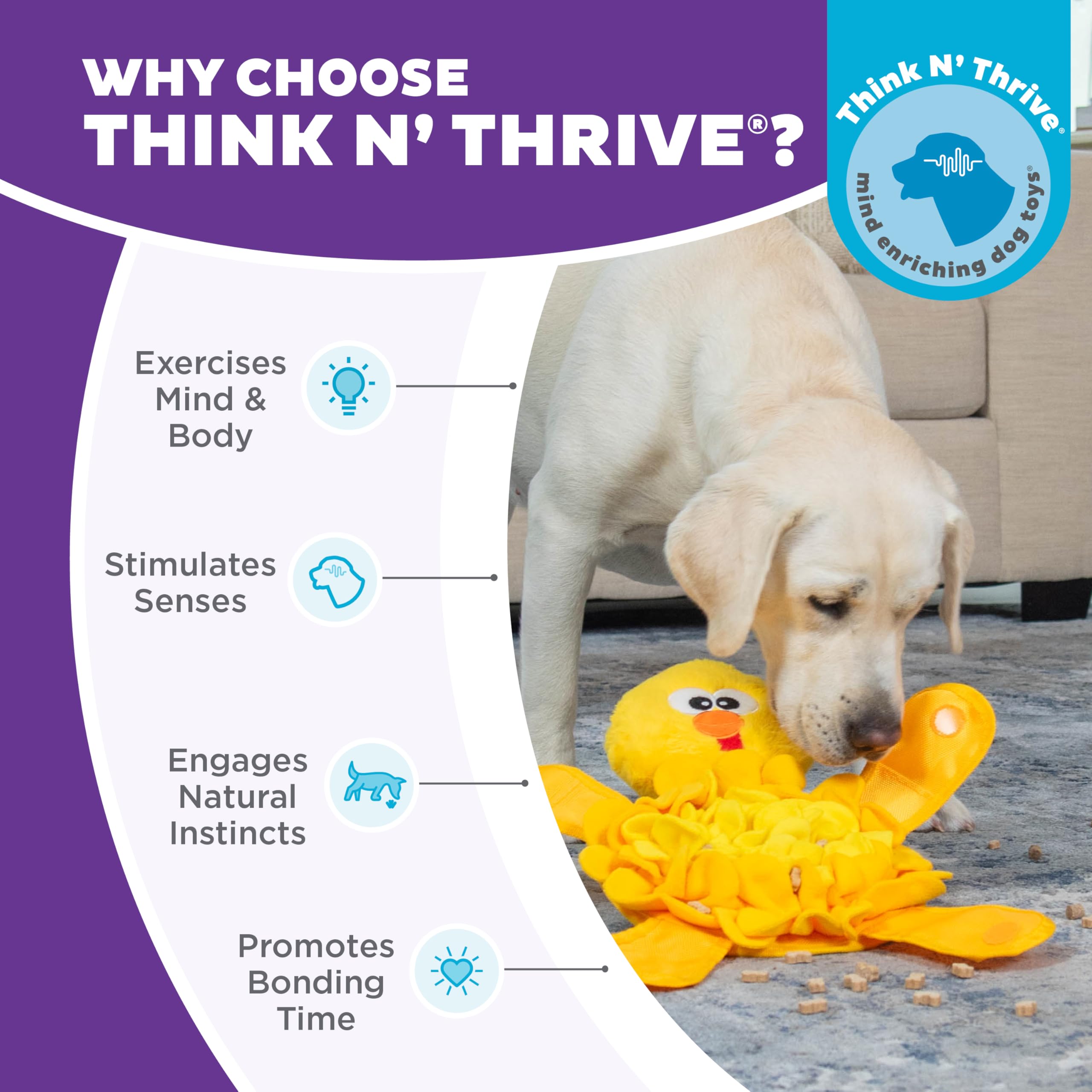 Outward Hound Snuffle Palz: poches caches pour friandises et défi.