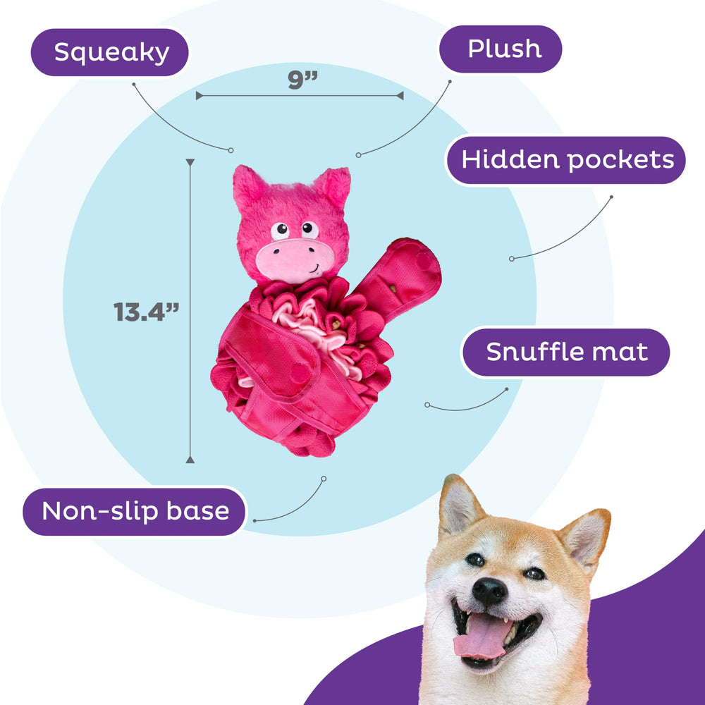 Outward Hound Snuffle Palz tapis avec poches cachées offrant un défi olfactif.