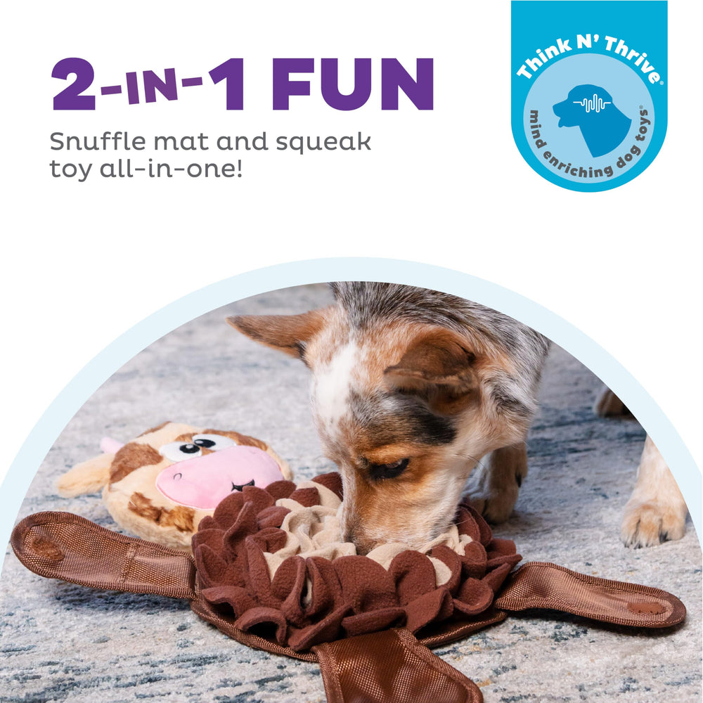 Outward Hound Snuffle Palz – Poches à friandises, défi mental pour chien curieux.