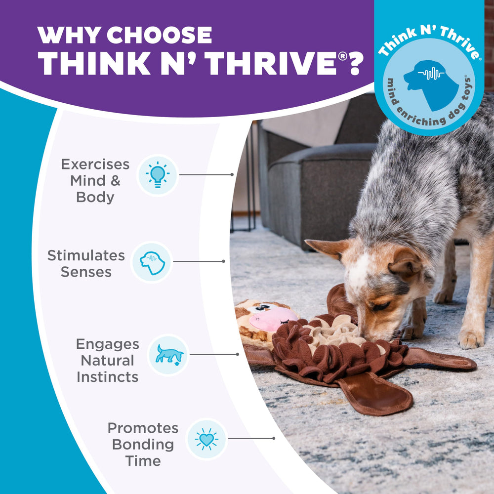 Outward Hound Snuffle Palz – Enrichissement mental pour chien en session ludique.