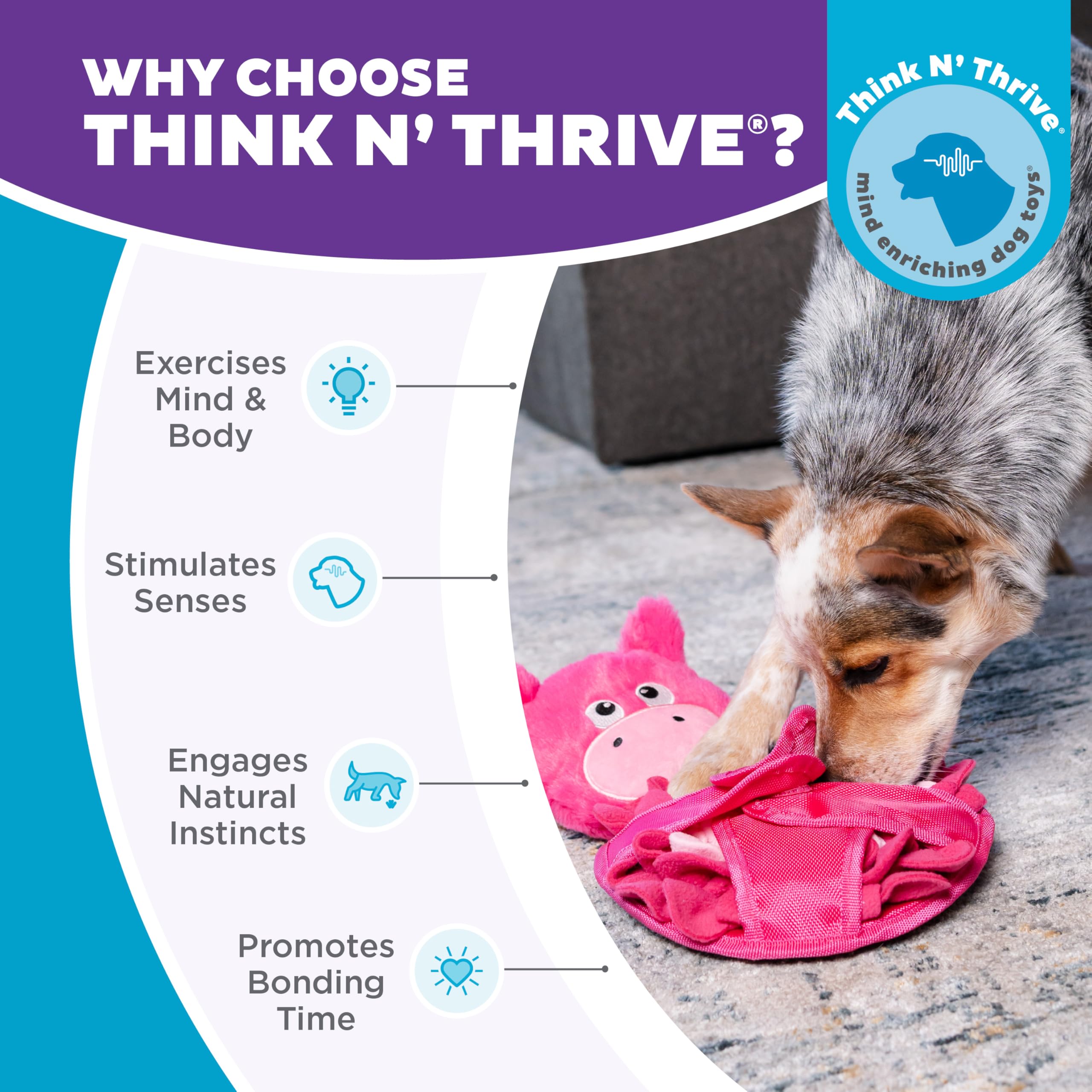 Outward Hound Snuffle Palz stimulation mentale et enrichment cognitif pour chien.