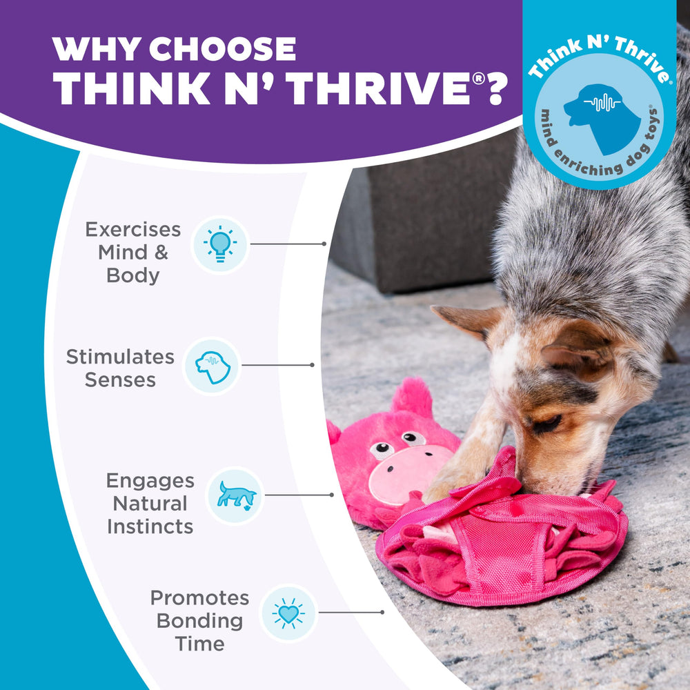 Outward Hound Snuffle Palz stimulation mentale et enrichment cognitif pour chien.