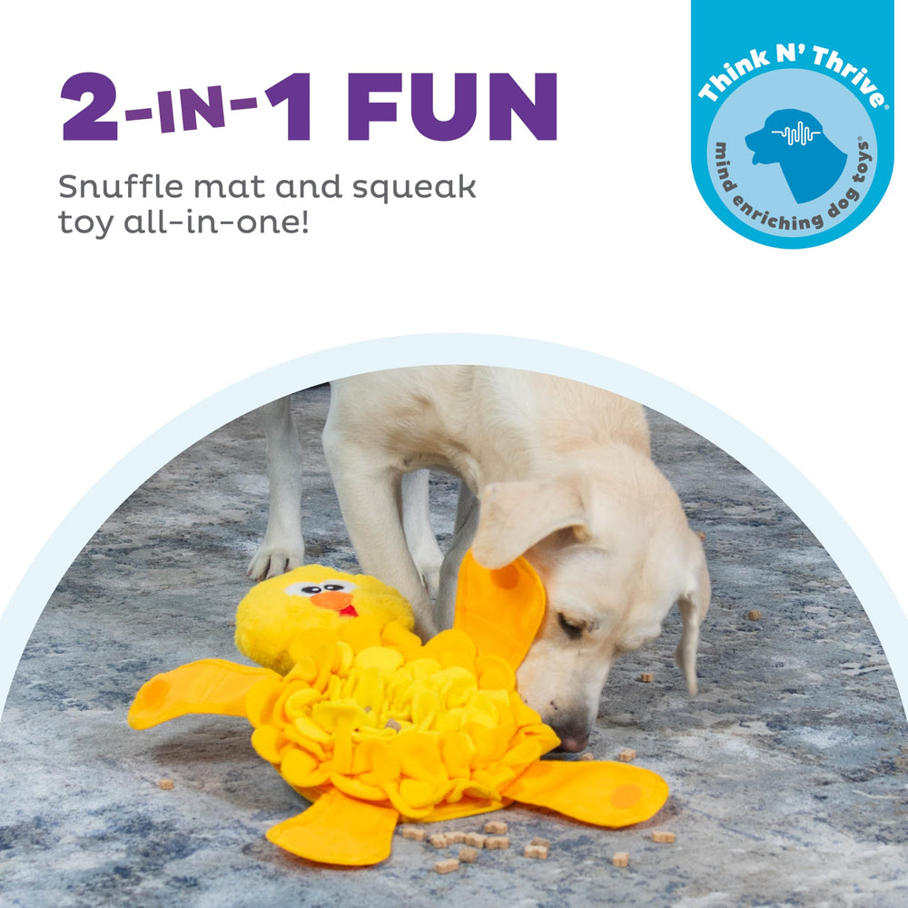 Outward Hound Snuffle Palz: tapis-snuffle antiderapant favorisant l'engagement.