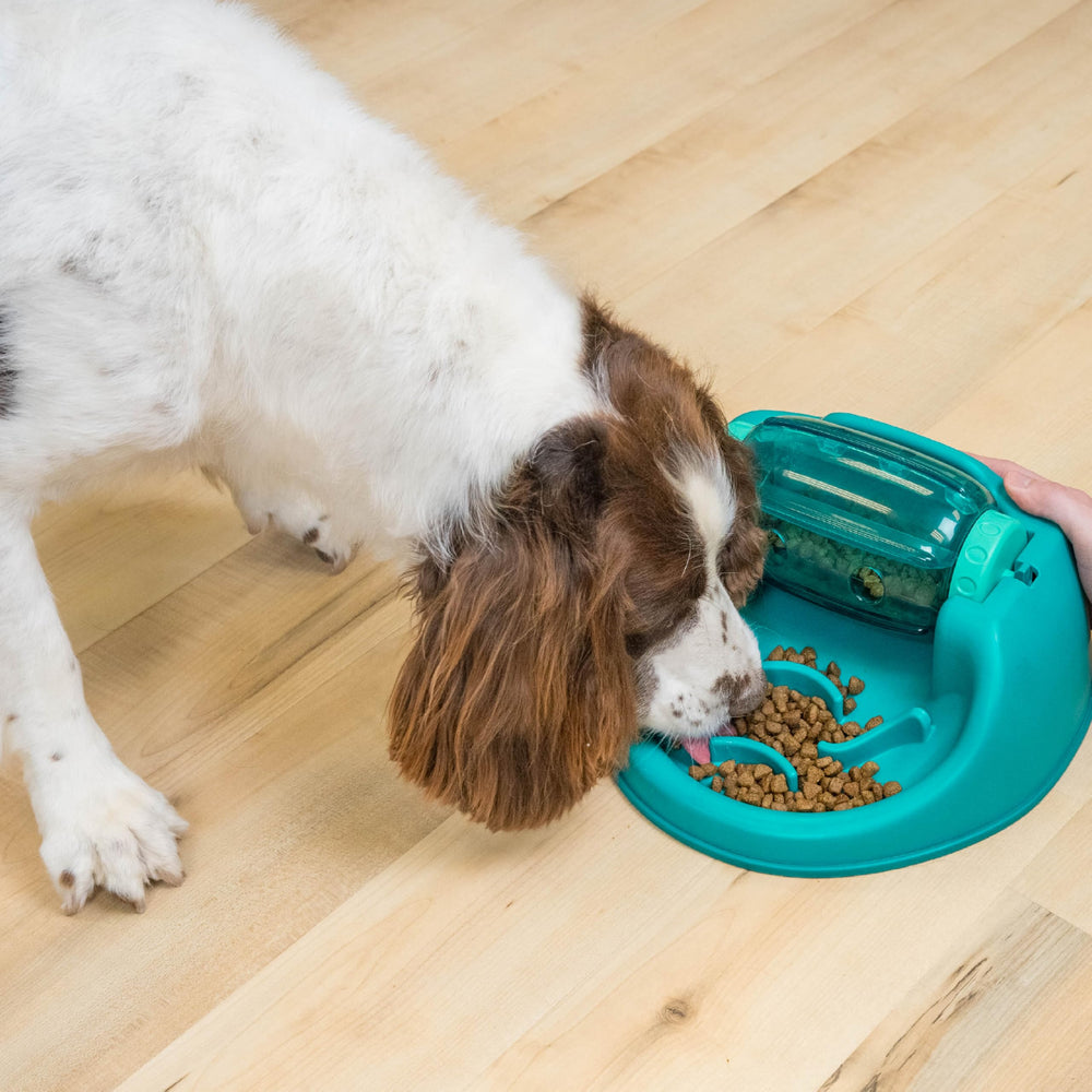 Outward Hound Spin N' Eat baril-tournant convient à toutes les tailles de chiens et niveaux.