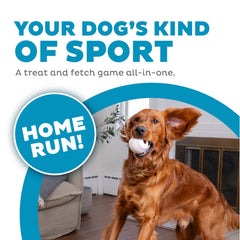 Outward Hound Sport Ballz, balle Orbee-Tuff, durable et sûre pour les dents.