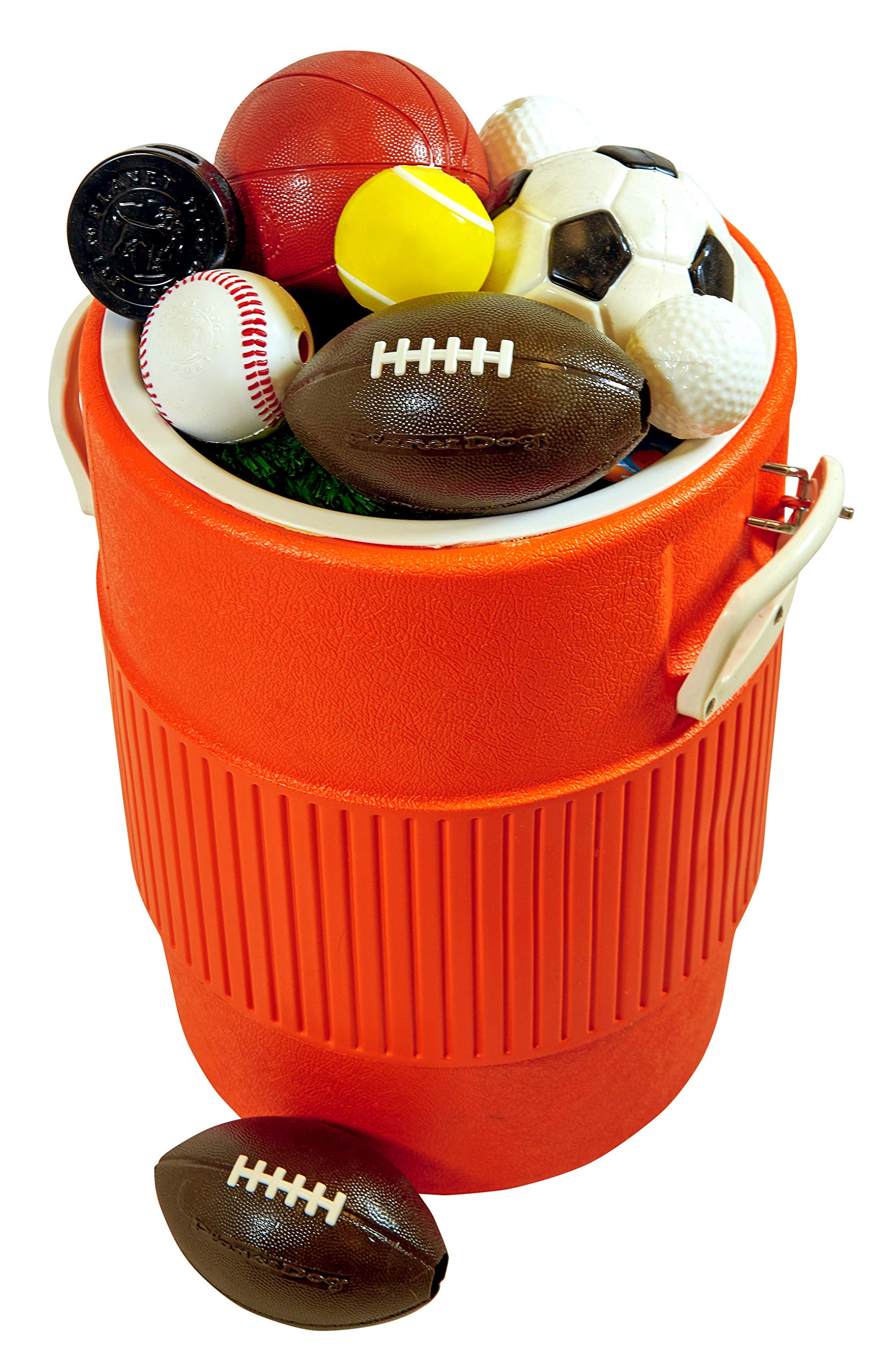 Outward Hound Sport Ballz, usage intérieur et extérieur, jouet quotidien.