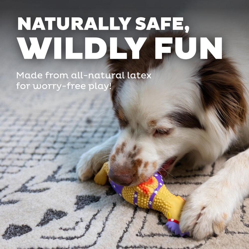 Outward Hound Squawkers Henrietta: jouet en latex robuste pour jeux interactifs et sorties en intérieur.