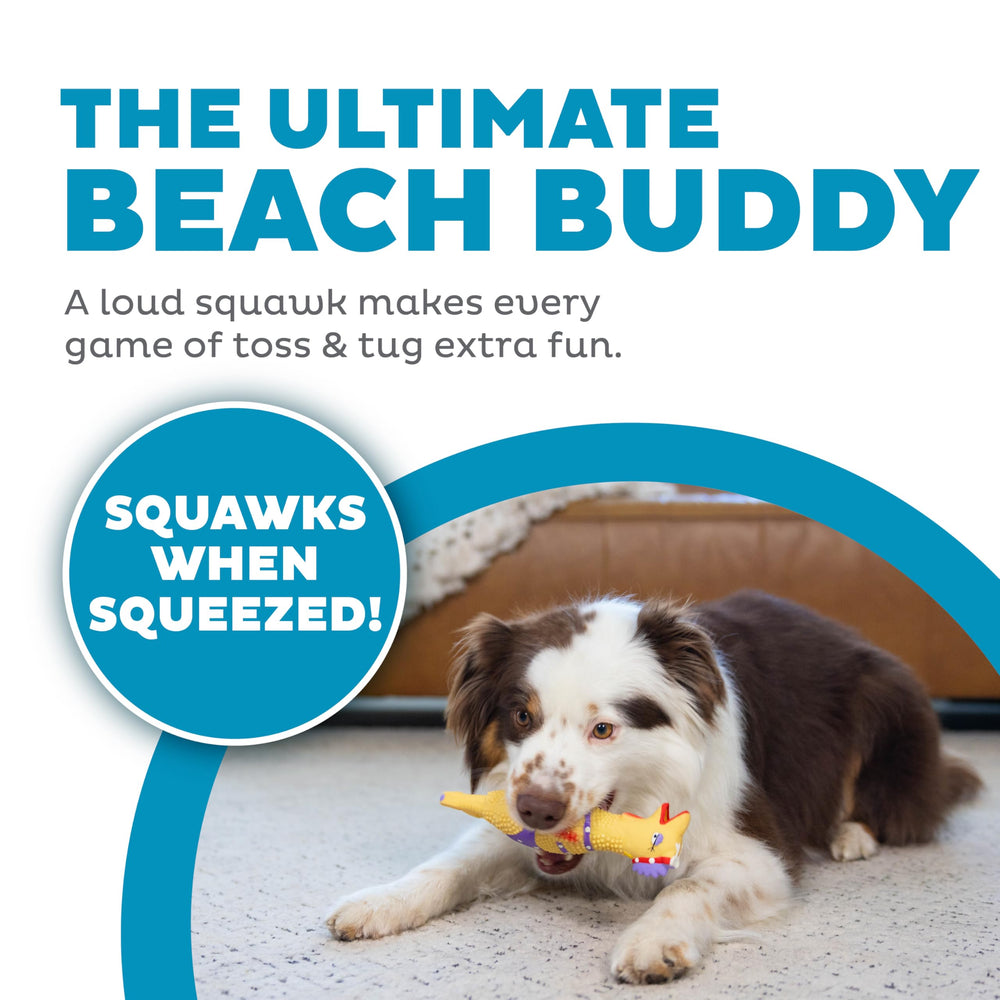 Outward Hound Squawkers Henrietta: poulet en latex, sifflet intégré, parfait pour les séances de récupération et de plaisir.