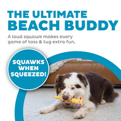 Outward Hound Squawkers Henrietta: poulet en latex, sifflet intégré, parfait pour les séances de récupération et de plaisir.