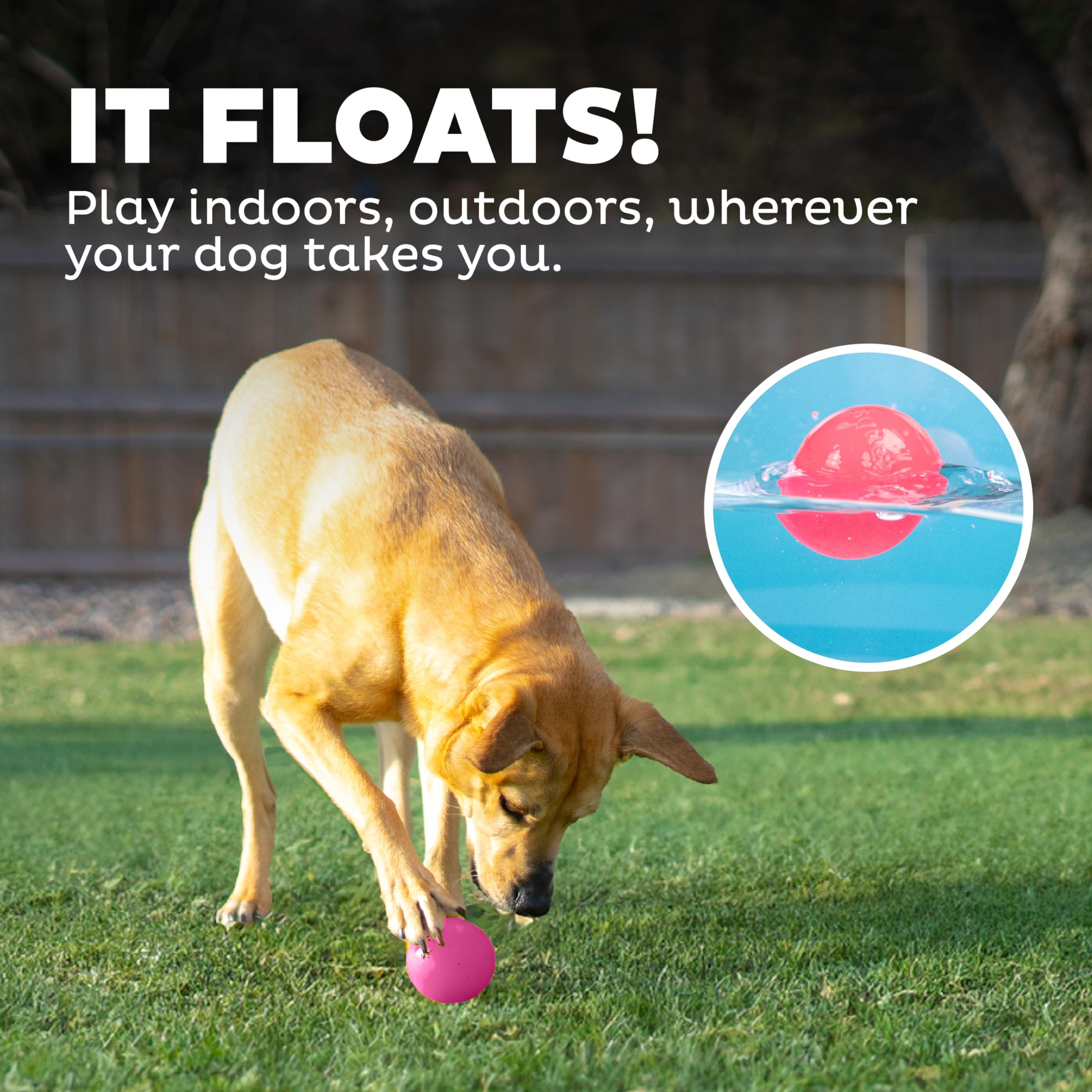 Outward Hound Squeak Ball, balle-interactive rose pour stimuler l’interaction canine.