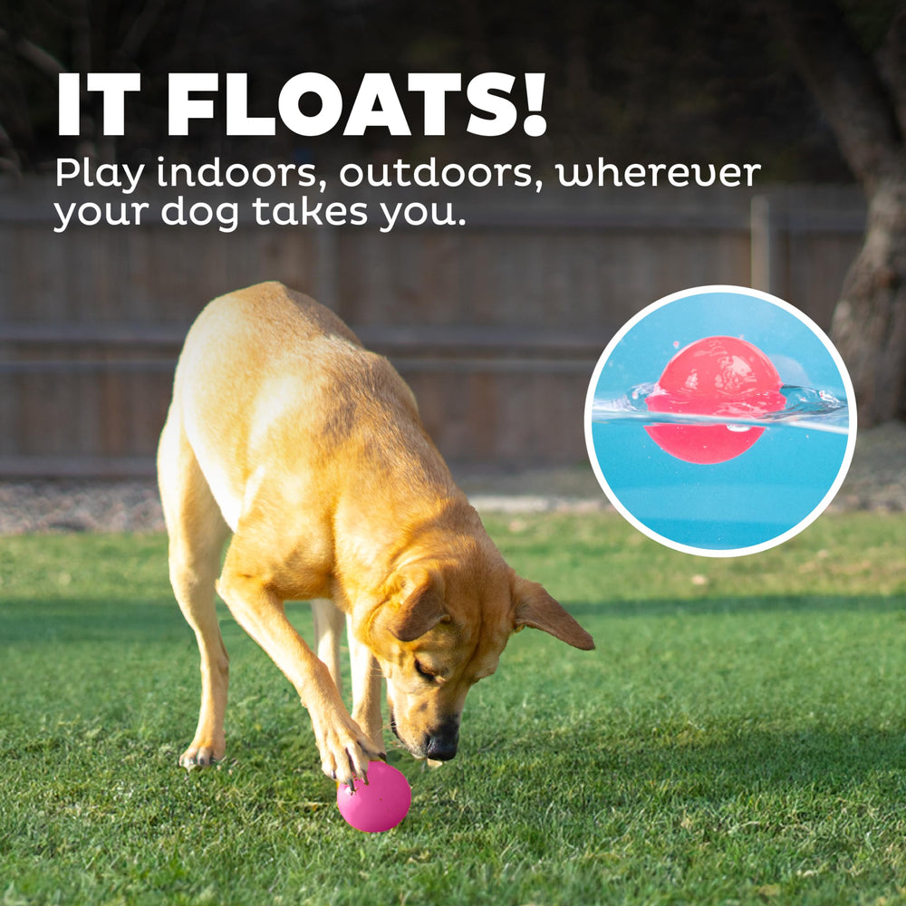 Outward Hound Squeak Ball, balle-interactive rose pour stimuler l’interaction canine.