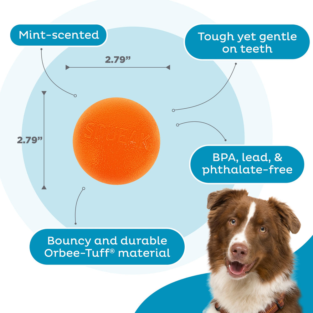 Outward Hound Squeak Ball, couleur orange vif, visuel attrayant lors des séances de jeu.