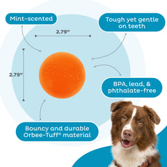 Outward Hound Squeak Ball, couleur orange vif, visuel attrayant lors des séances de jeu.