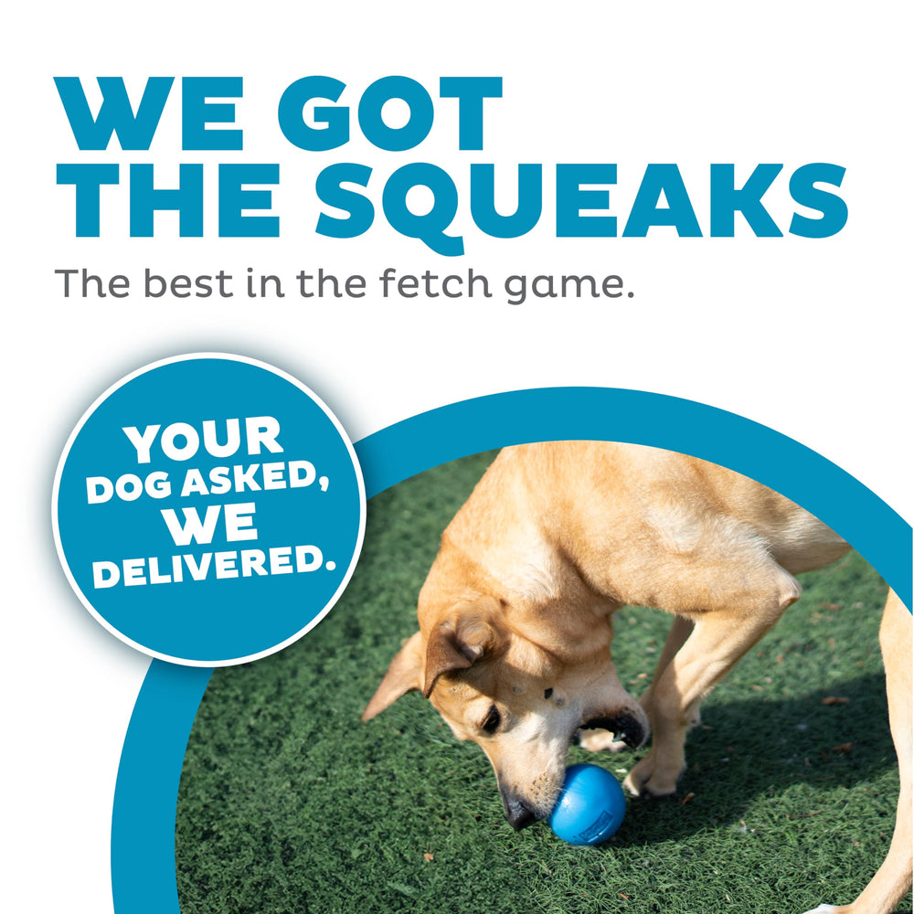 Balle durable et flottante Outward Hound en bleu pour jeux résistants