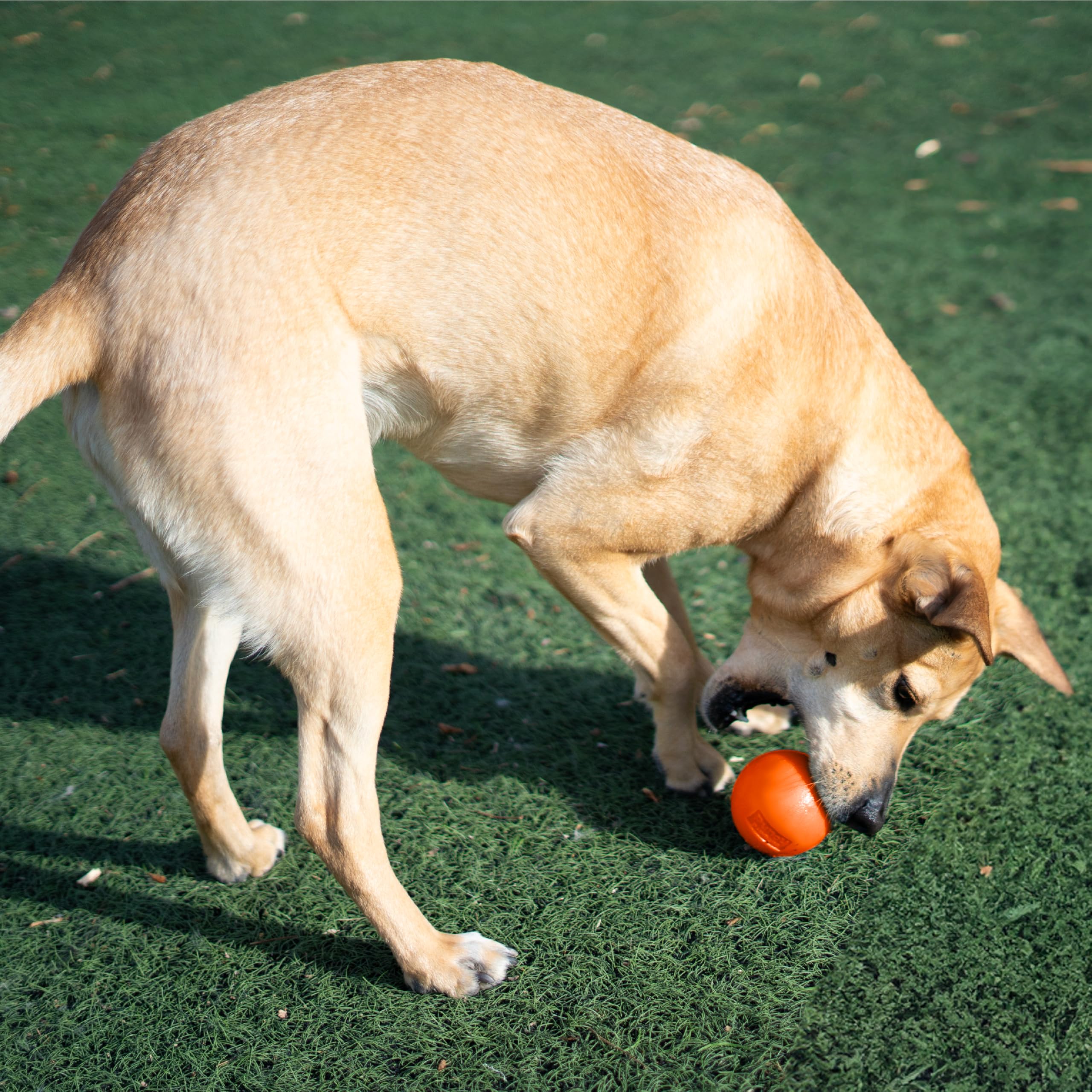 Outward Hound Squeak Ball, facile à nettoyer à l'eau tiède et savon doux.
