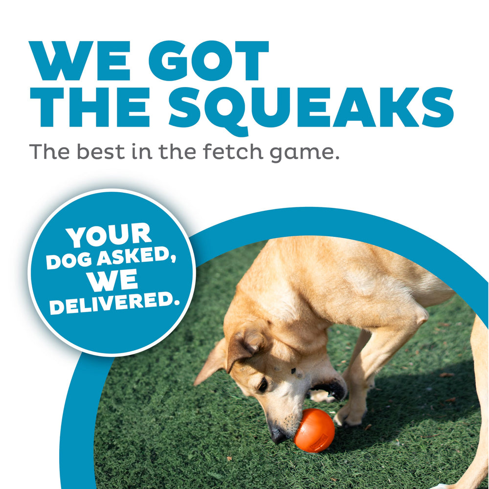 Outward Hound Squeak Ball, flottante, parfaite pour des jeux d'intérieur et d'extérieur.