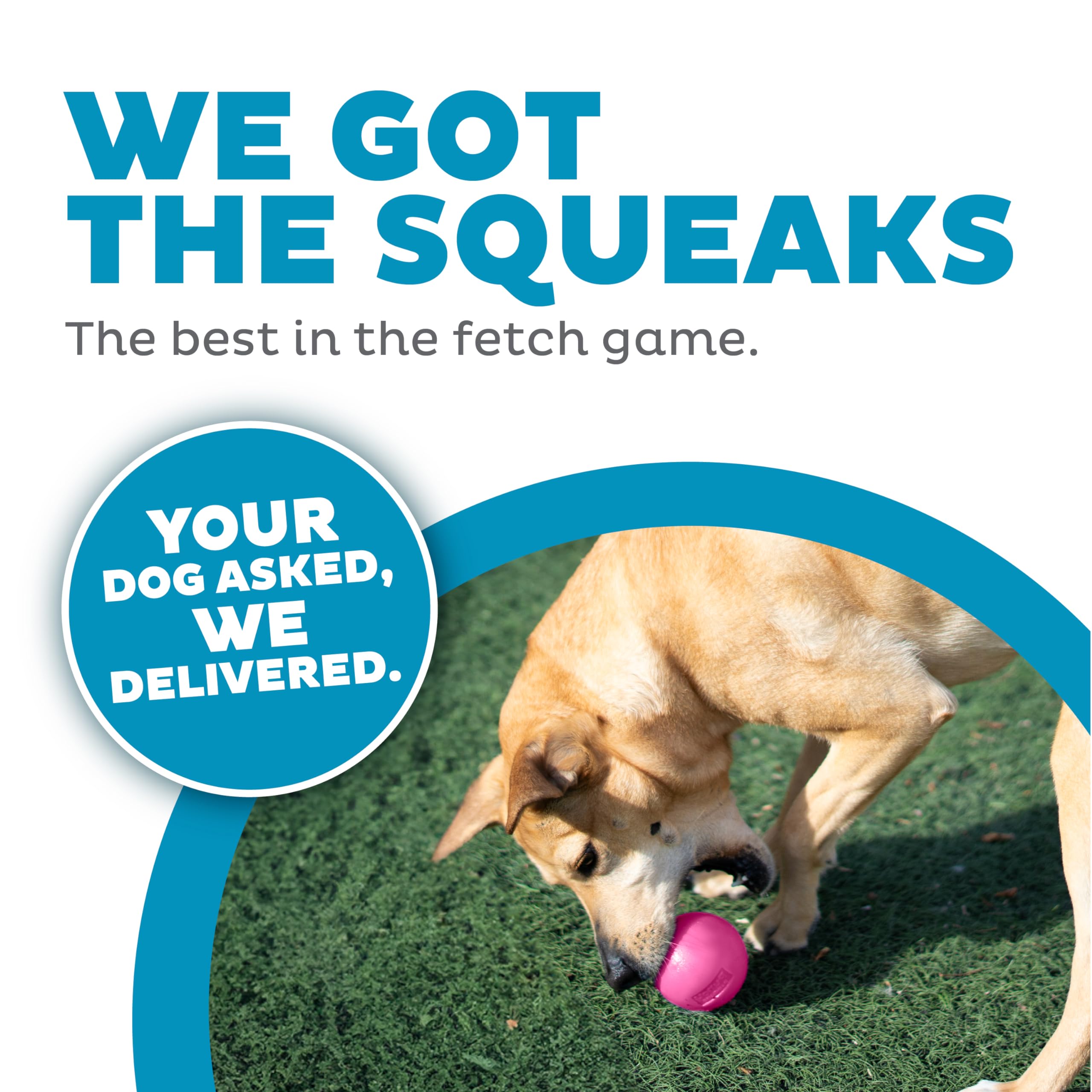 Outward Hound Squeak Ball, balle-flottante rose pour les jeux d’eau.