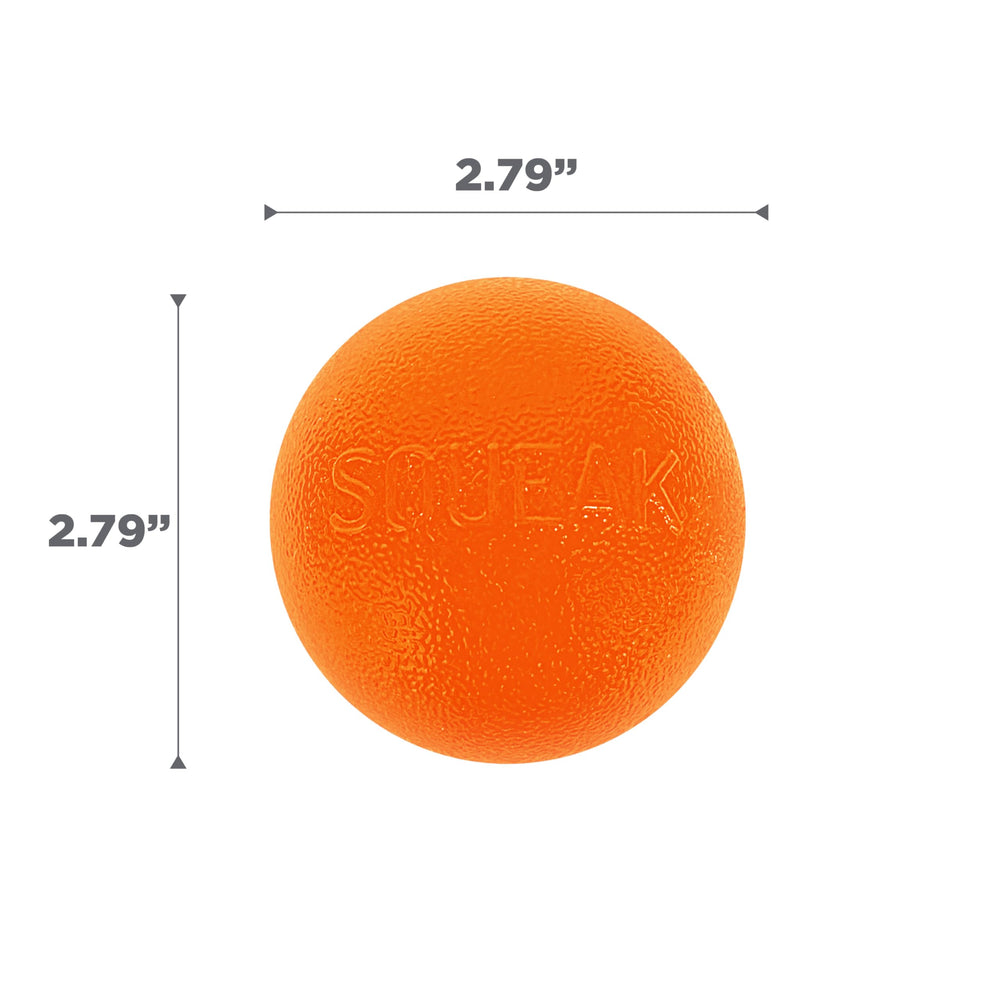 Outward Hound Squeak Ball, jeu interactif et entraînement ludique possibles.