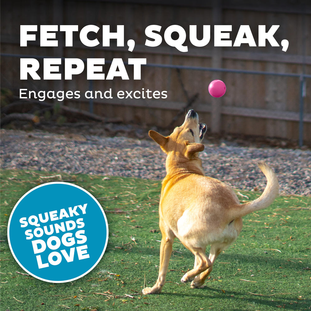 Outward Hound Squeak Ball, balle-menthe rose pour haleine fraîche après le jeu.