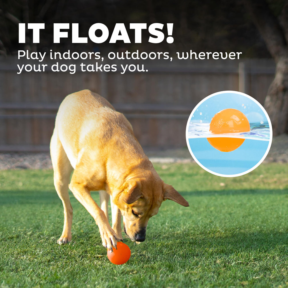 Outward Hound Squeak Ball, sans BPA ni plomb pour plus de sécurité.