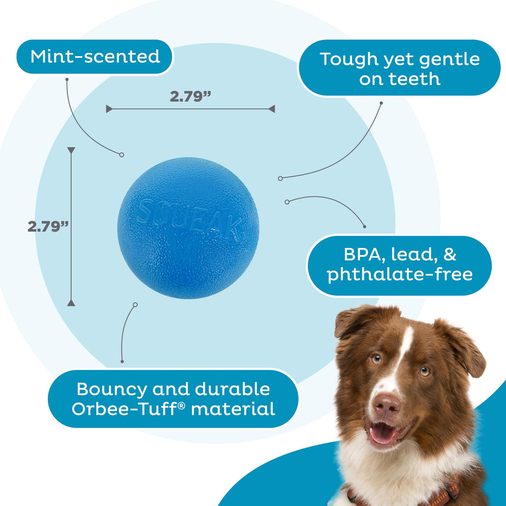 Jouet Squeak Ball Outward Hound, sifflement stimulant le chien durant le jeu