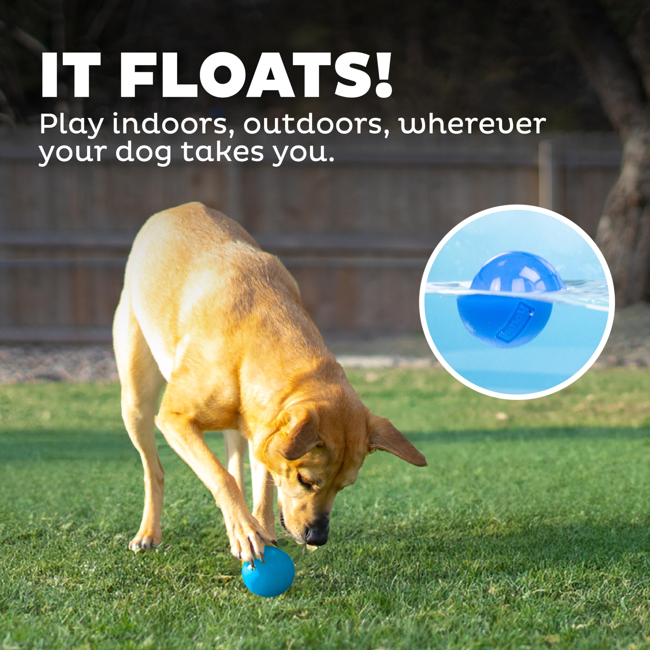 Silhouette de chien utilisant la Squeak Ball Outward Hound pour activité physique